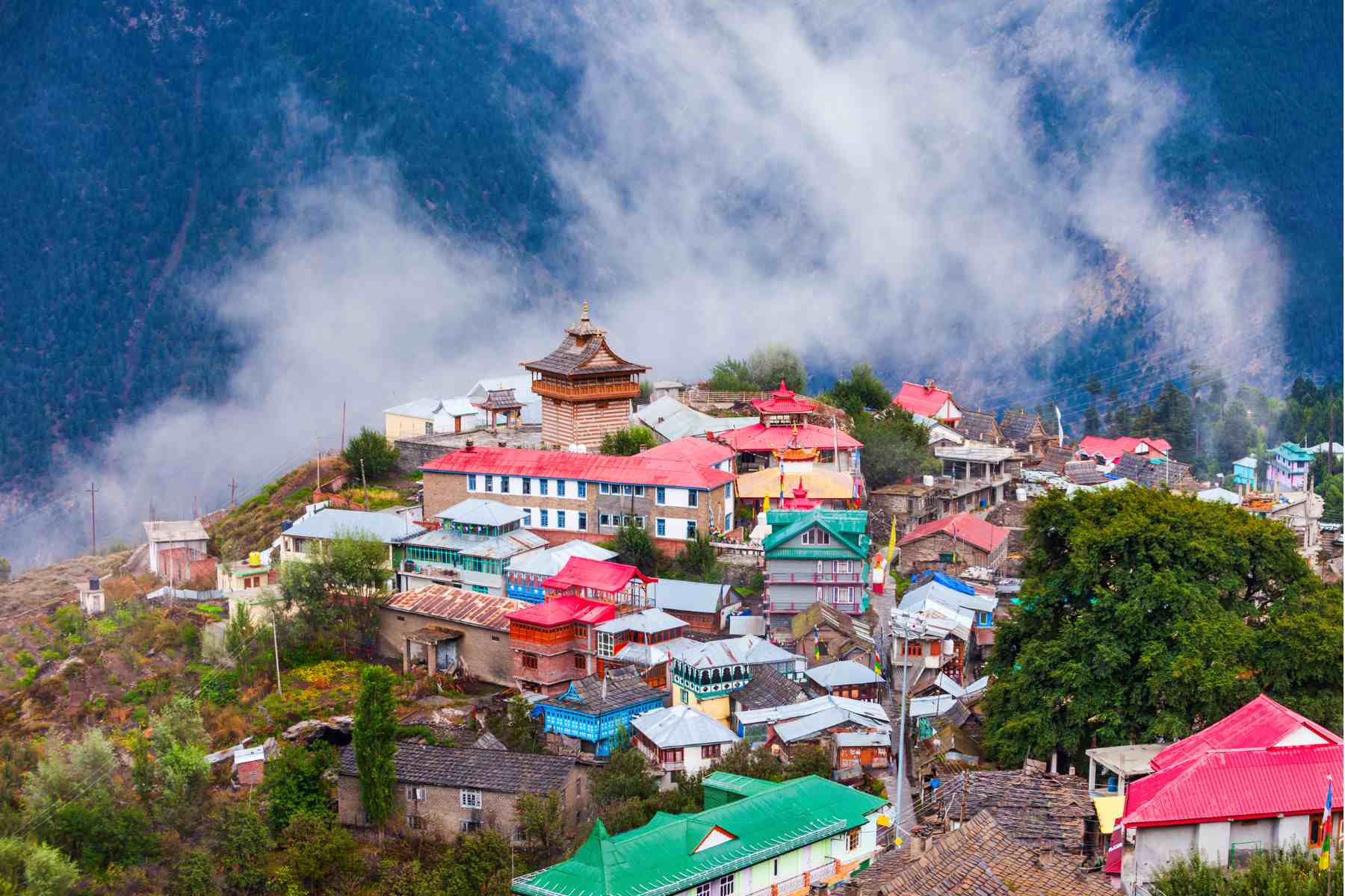 Himachal Pradesh Tour